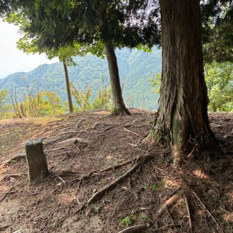 山名看板なかったけど、登山道から少し上がって、
堀坂峠の高 到着★

YAMAP山マークあるとこより、まだ少し先です。

景色あったけど、1匹の蜂が飛んでいてすぐ退散🐝