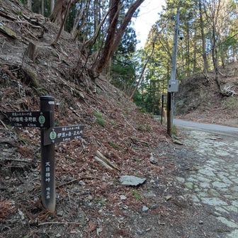 雨目指峠。一旦舗装道路に。