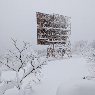 中岳頂上から反射板の後ろ向って真っ直ぐ、林の中を闊歩(^^)