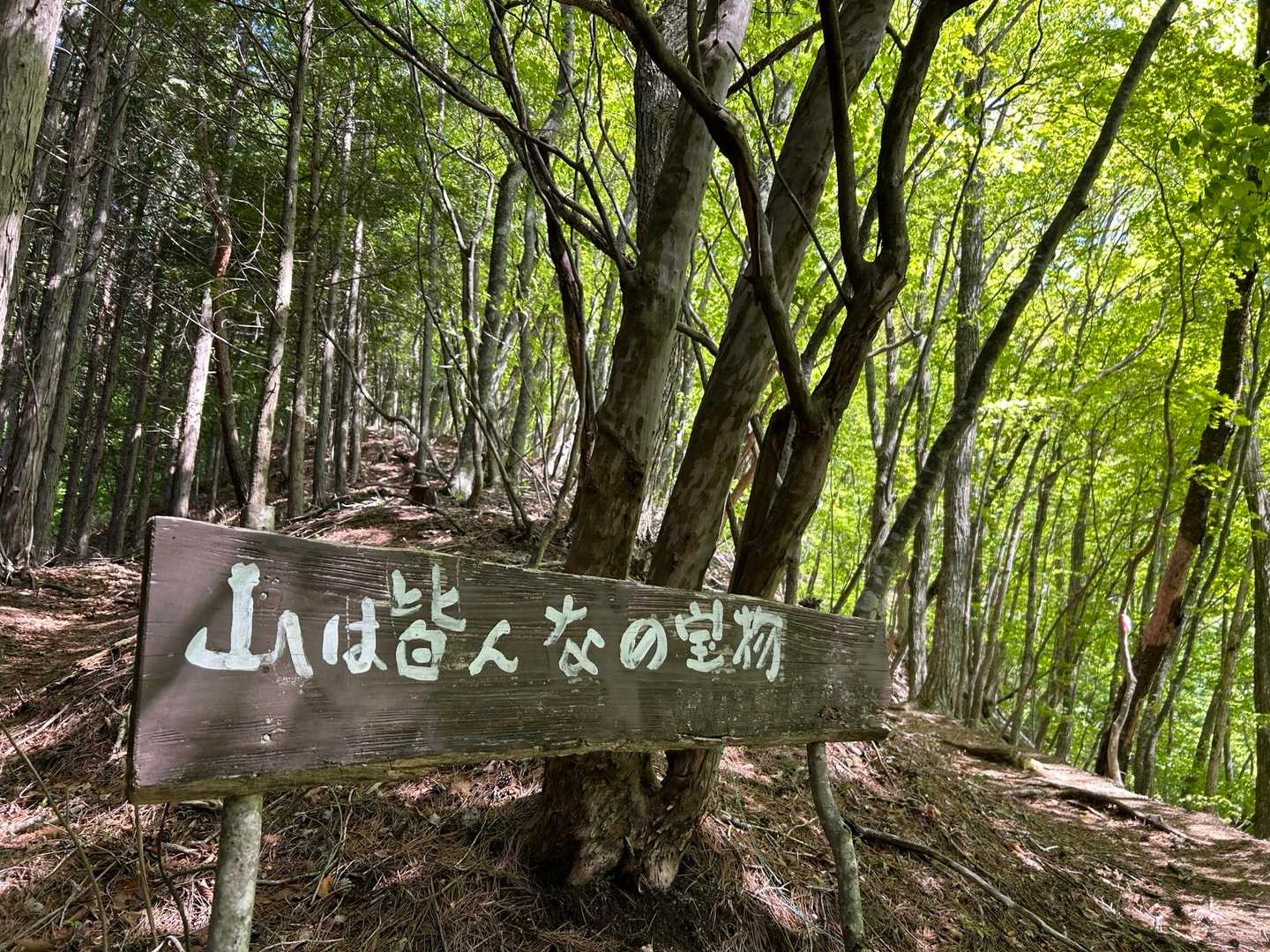 そうそう。
山は皆んなの宝物です⛰️