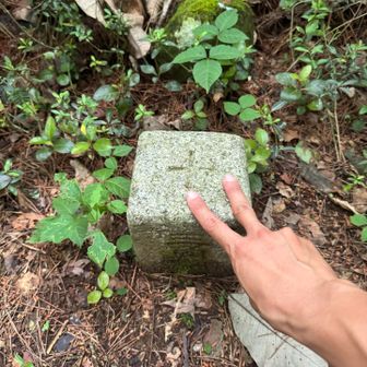 最後のピーク、姉取山
唯一三角点を見つけた山だったのでとりあえず撮った笑

山の中はピンテほぼ無し、眺望ゼロ、メマトイたくさん、蜘蛛の巣たくさんだったけど松島意外と楽しかったぞ😉

おつかれ山。