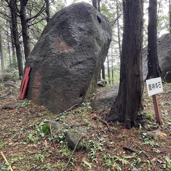 頂上付近は岩だらけ🪨