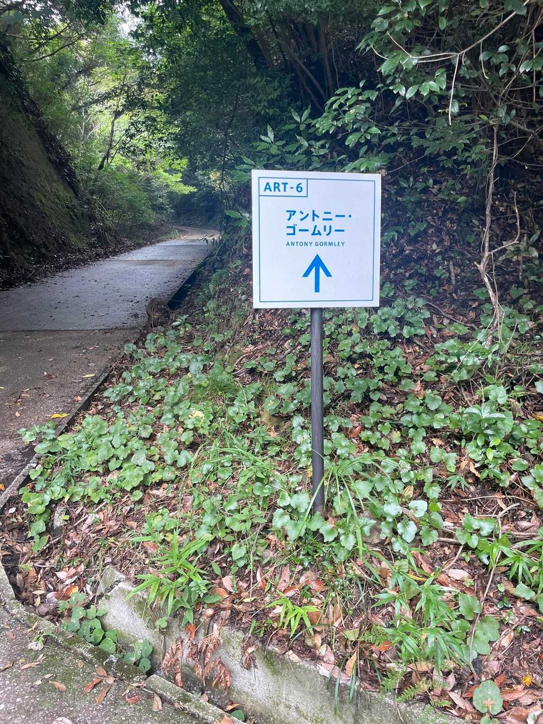 あれ、ここから林道を登るの？