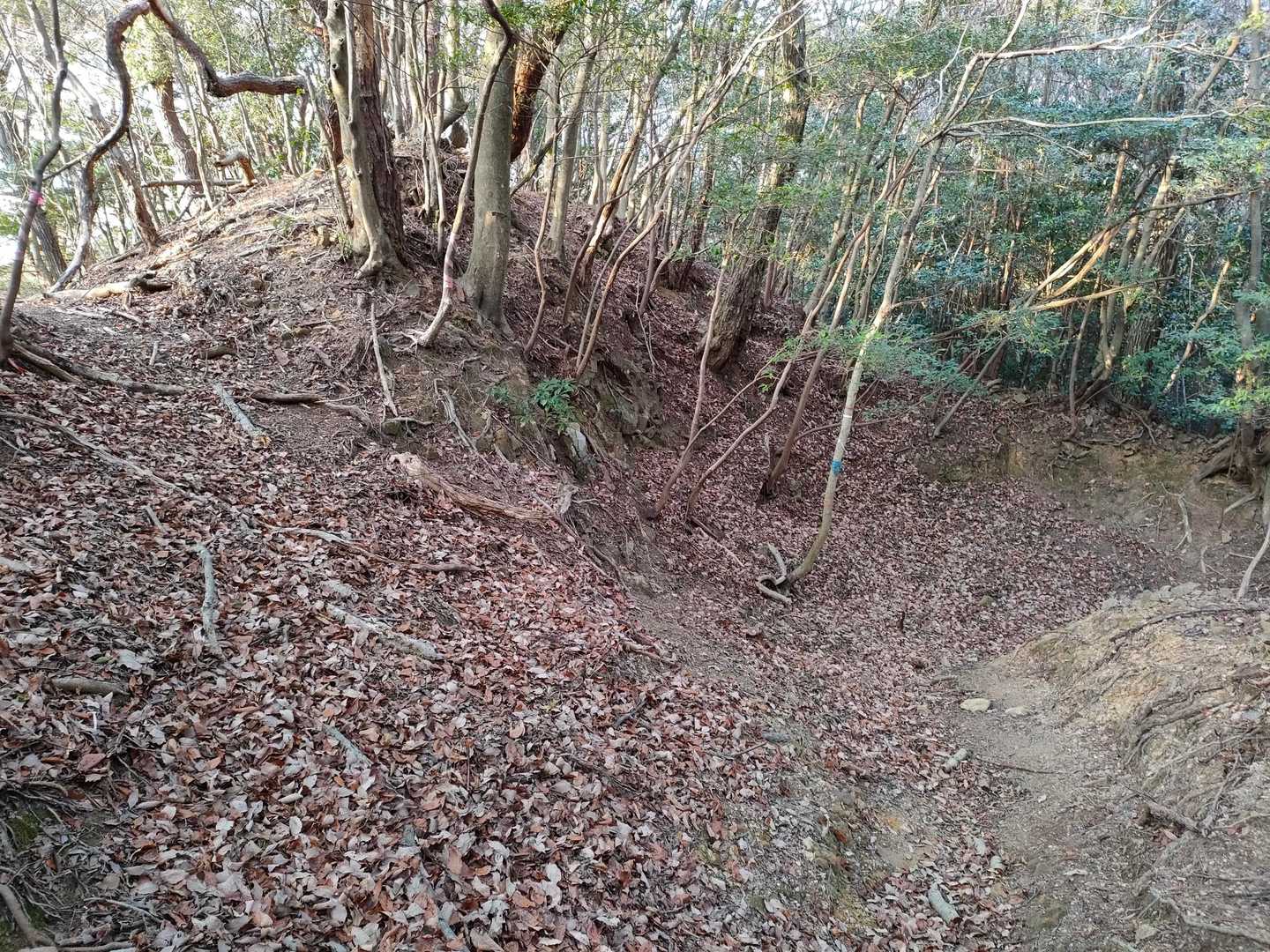 道を間違えないように慎重に進む