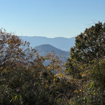畝傍山が見える