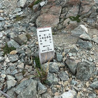 雪倉岳に到着。