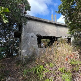 三角点がある場所へ。‥見つからなかった。