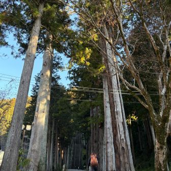 ロープウェイで山頂を目指す事もできますが、歩いて向かうのも気持ちが良いものです☺️