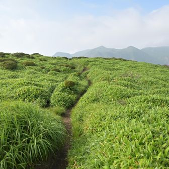 三俣山。笹原が美しいがのっけから靴がずぶ濡れになった。未だ余裕あり。初投入のモンベル製トレッキングポール「アルパインカーボンフォトポール」の三脚ネジカバーの固定が使用開始１時間もしないうちに破損したのには失望させられた