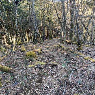 では天狗岳へ🎵