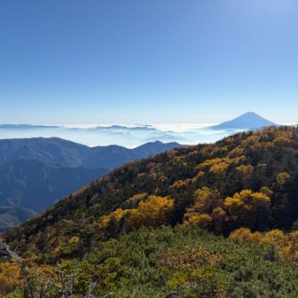 富士山もバッチリ👌紅葉と一緒に映えますね✨