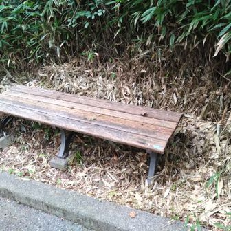 くだりはアスファルト道で。ところどころベンチがあります。