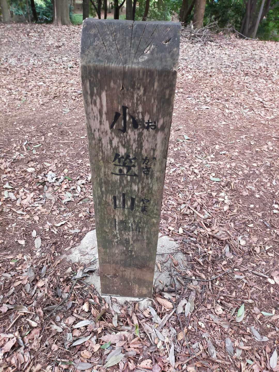 先ずは1️⃣座目⛰️小笠山⛰️