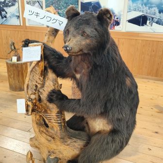 🐻やはり熊は迫力がありますね💦