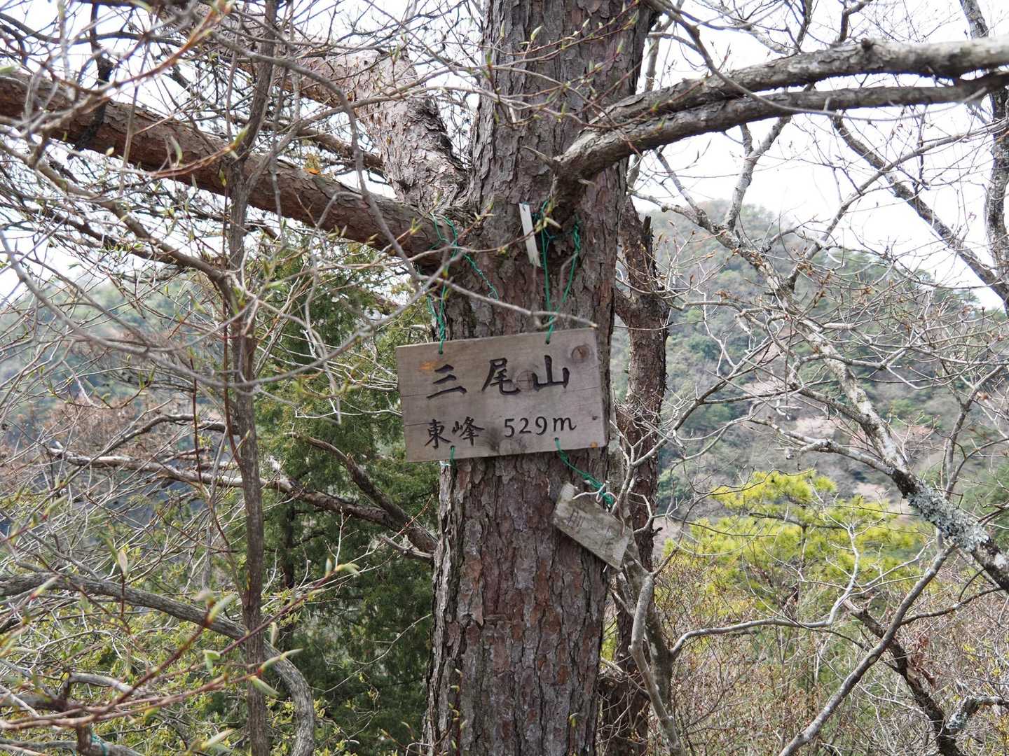 三尾山（東峰）に着きました🙌
狭いけど休憩するスペースあり、眺望もあり。
ここでおにぎり食べました。