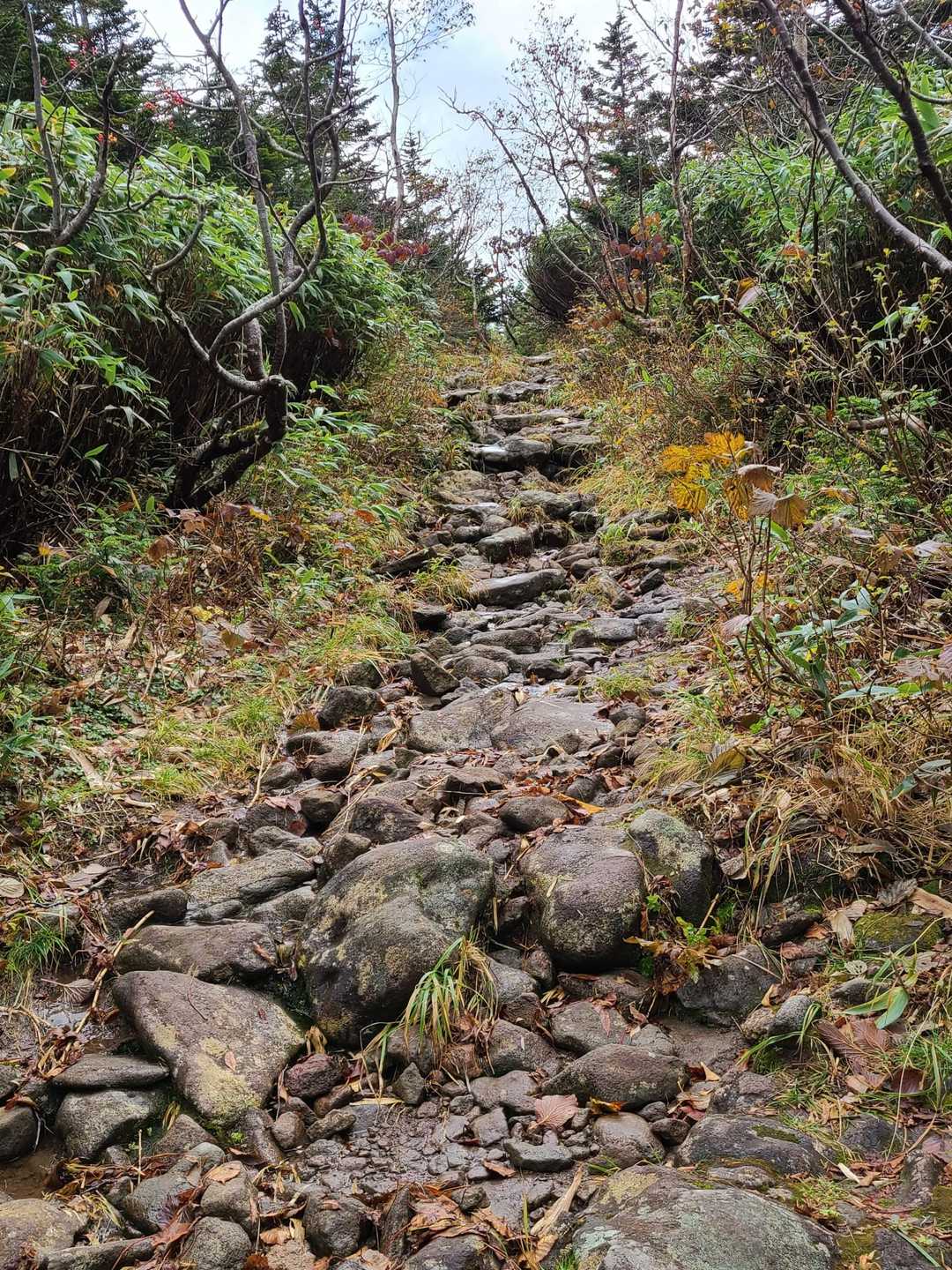 岩の道。