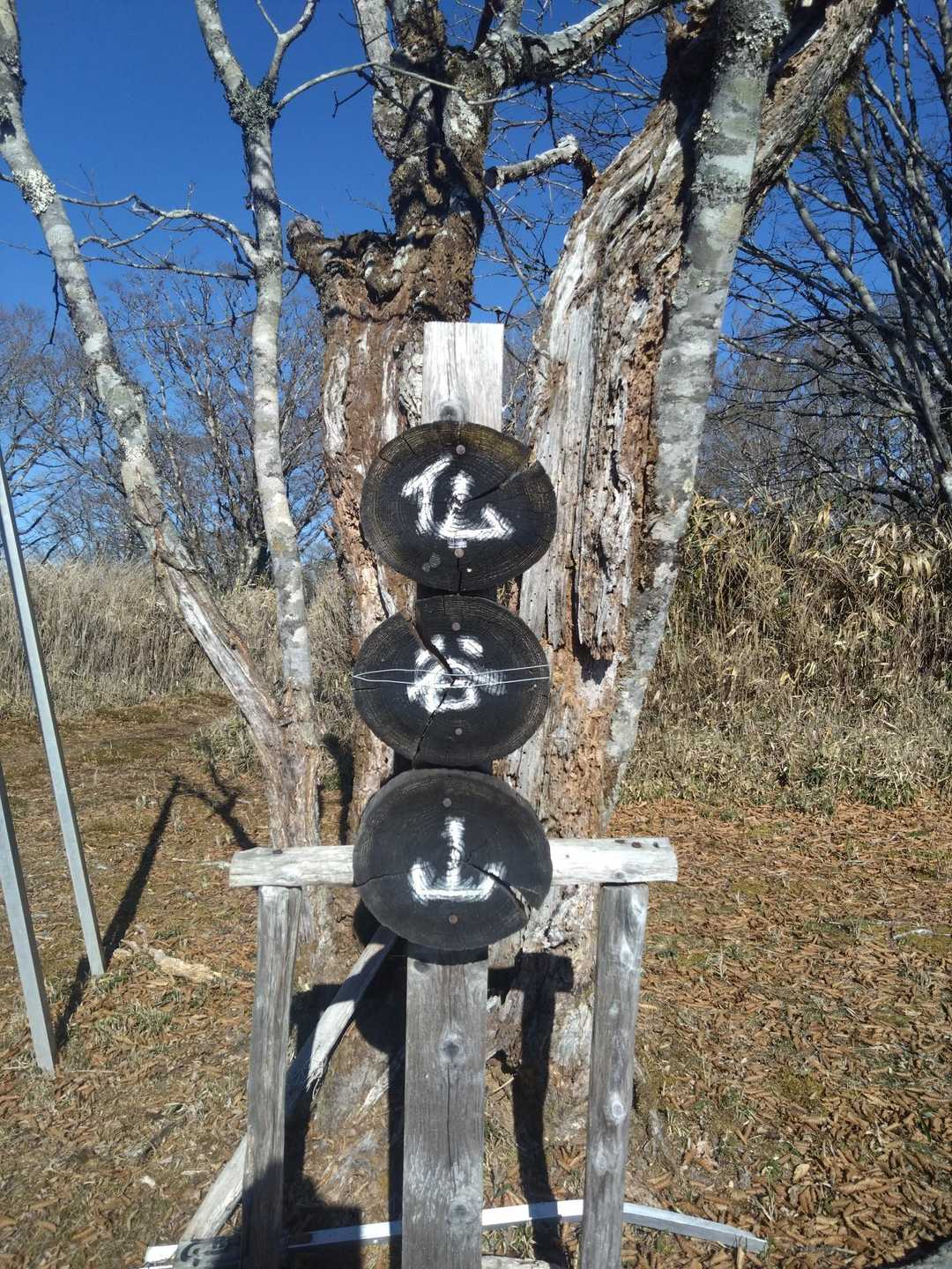 地蔵峠入口-仏谷山-細島峠-うつろぎ山 往復コースの写真