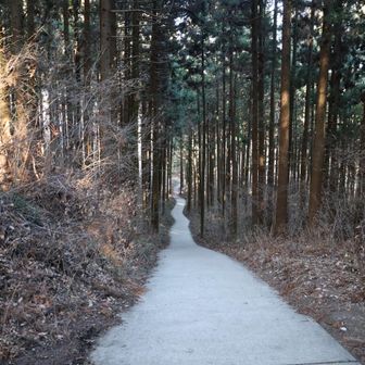 この道って、帰りは帰りで、辛いんだよなー。