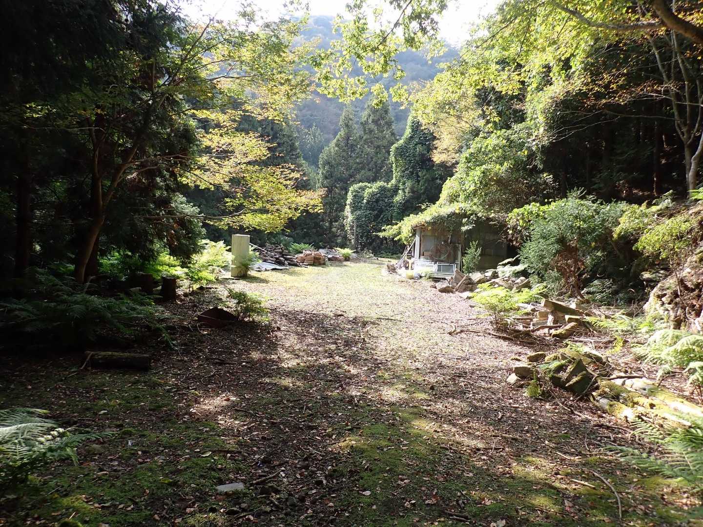 廃屋作業場まで戻って来ました。👣