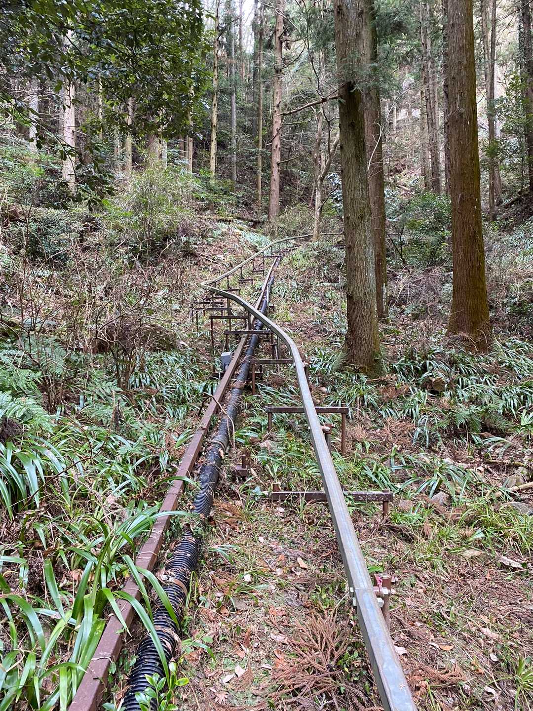 淨因寺の石段脇のトロッコのとこに出てくるので、またいで横断。