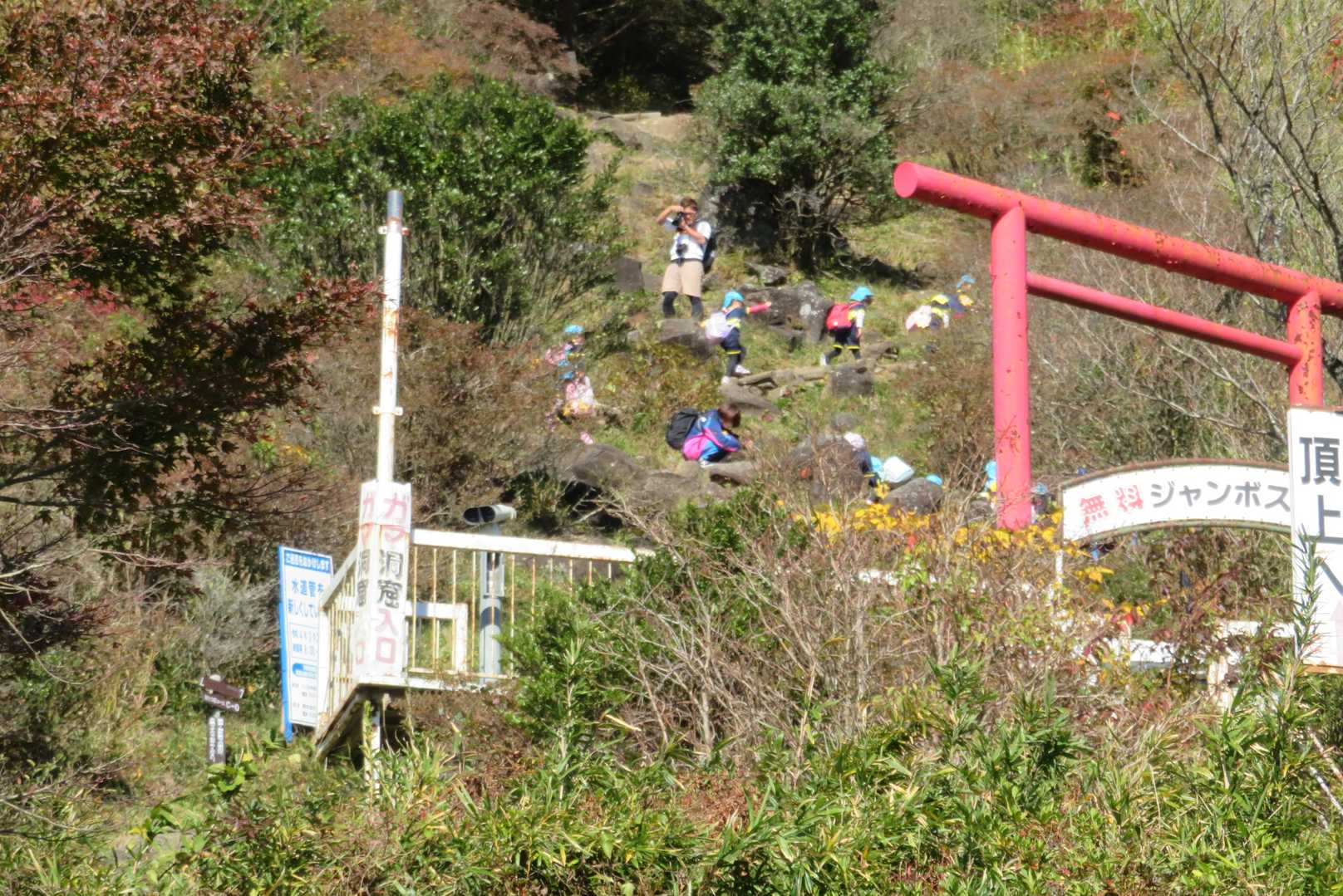 つつじヶ丘からおたつ石コースで女体山に向かう。幼稚園児が登っている。
なかなかきつい傾斜で、「楽あれば苦あり」と納得する。