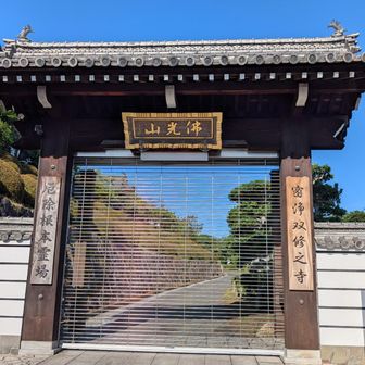 78番郷照寺　残念ながら時間前、入れん🤣🤣
