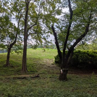 くじら山の山麓から（笑）。
