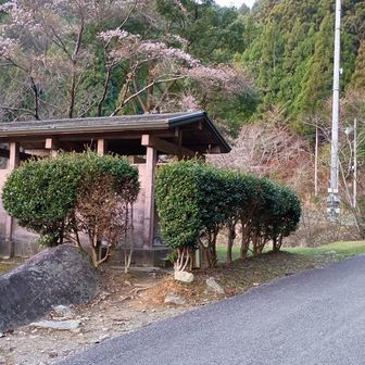 小粋な感じのトイレです🚻
管理をちゃんとしてくれています
清潔でペーパーもあります
もちろん水洗ではありませんが心丈夫なお役立ちトイレですよ！