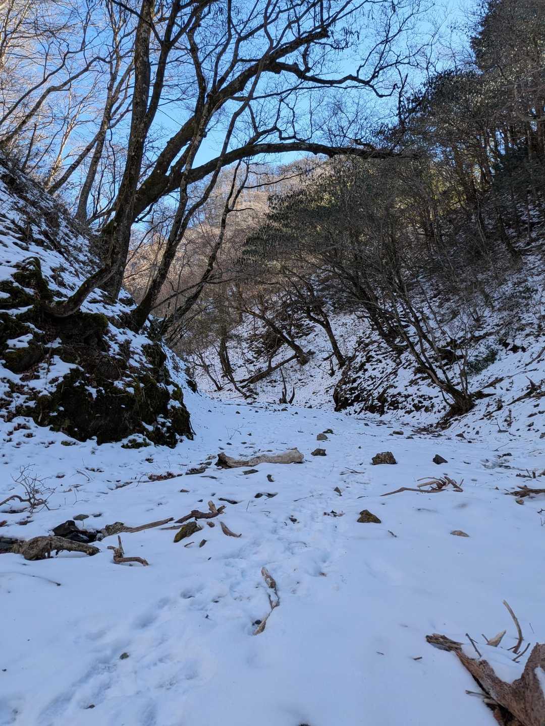 楽しい🎶チェンスパ良い仕事しますね😌