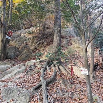 とりあえず宝塚ロックガーデンへ