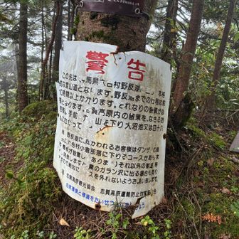 藪漕ぎがなくて天気が良ければ野反湖まで5～6時間くらいで行けると思います。さすがに10時間はかからないと思うけど…