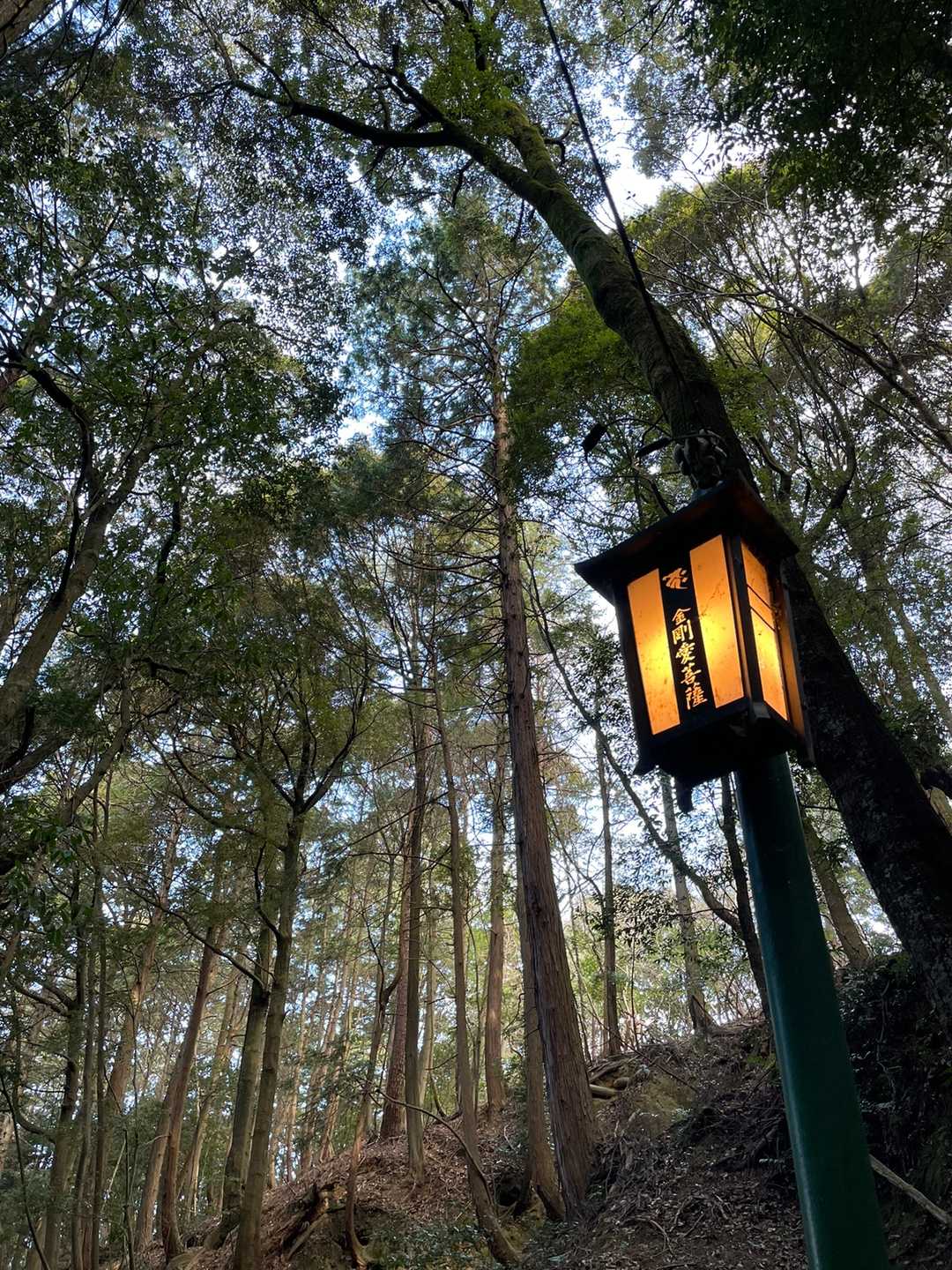 醍醐山-横嶺峠-高塚山 周回コースの写真
