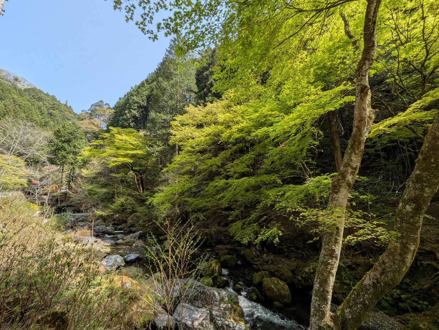 ここは東京？と思うくらい美しい渓谷
いくつもキャンプ場ありました