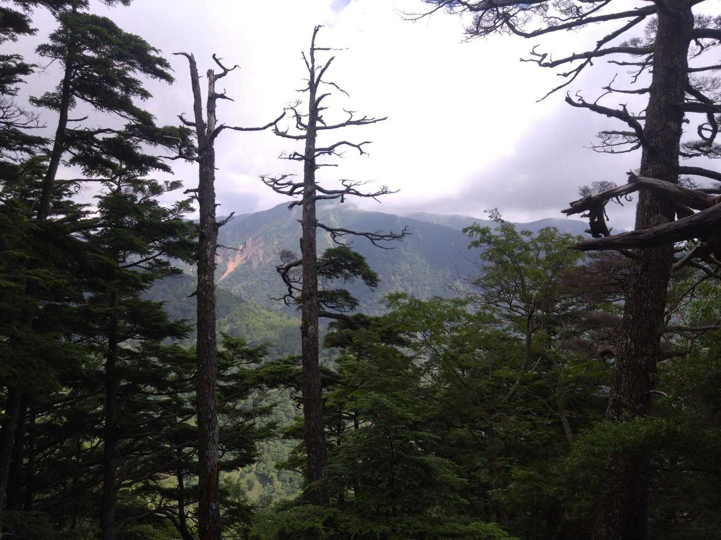 あれっ？ガス☁
少し涼しくなった🍃