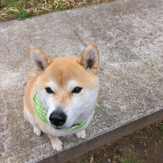 まぁ～(横)ちゃん（写真は親友の大ちゃん）