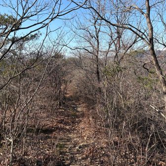 このちょい前に全体が黒い何かが…自分の視界に入りました👁️…🐻かと思いましたが…全身黒でまとめた女性でした😅