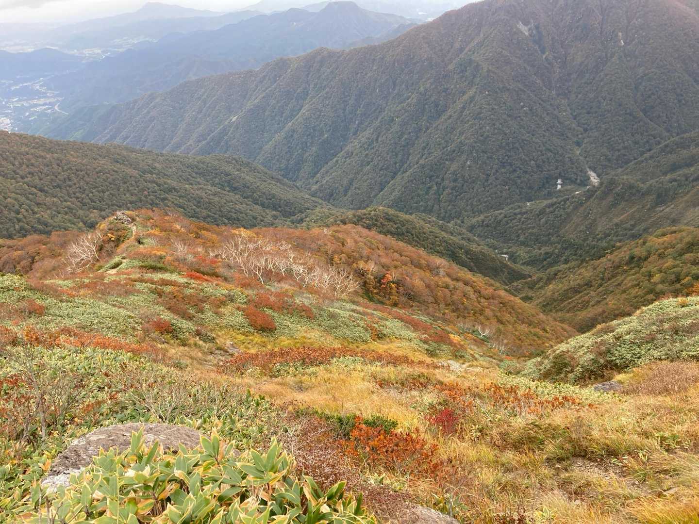 下りの方がより紅葉🍁が目に入って楽しい🧡