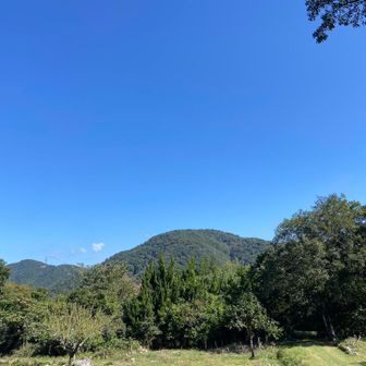 登山口まで下りてきました