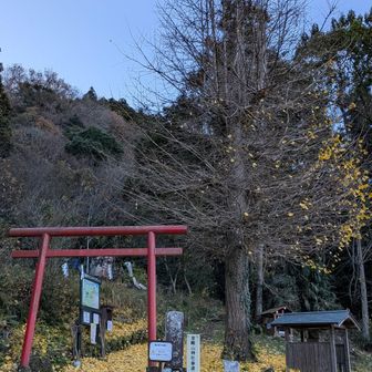 登山口。ティラノの尻尾はウォーミングアップ🚶‍♀️