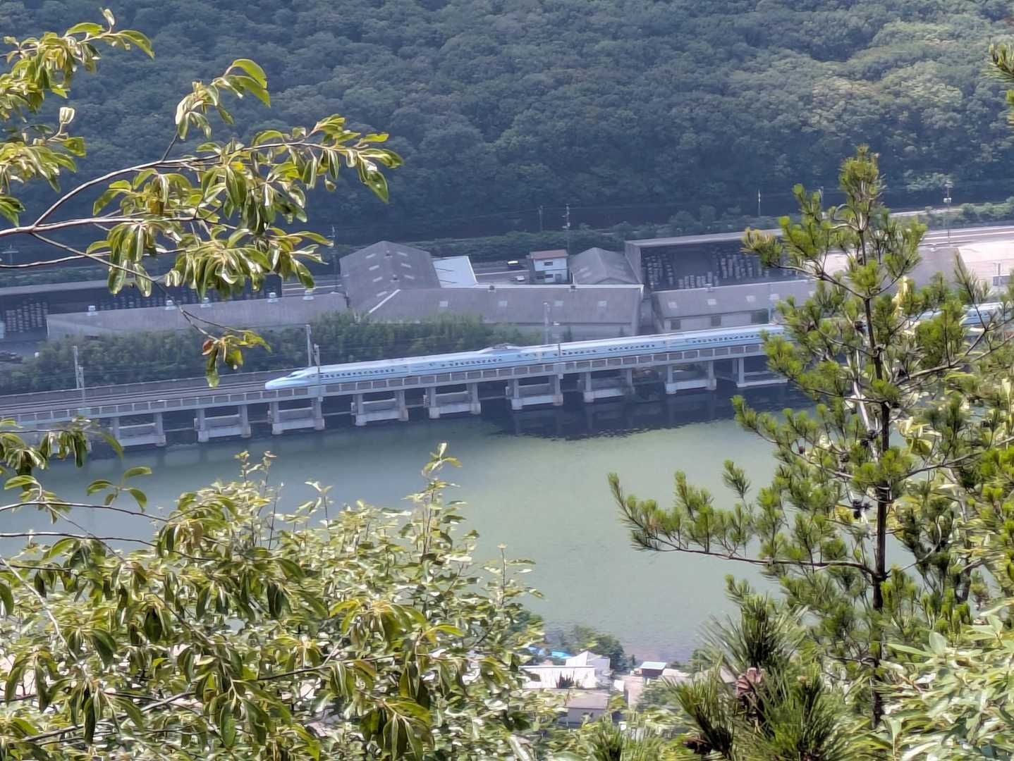 宮山取付き-宮山-医王山 往復コースの写真