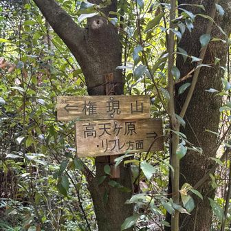 普通のルート