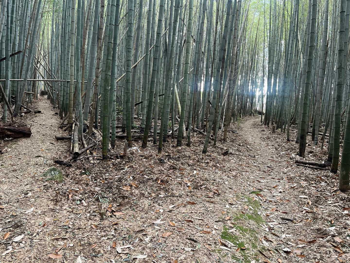 下山