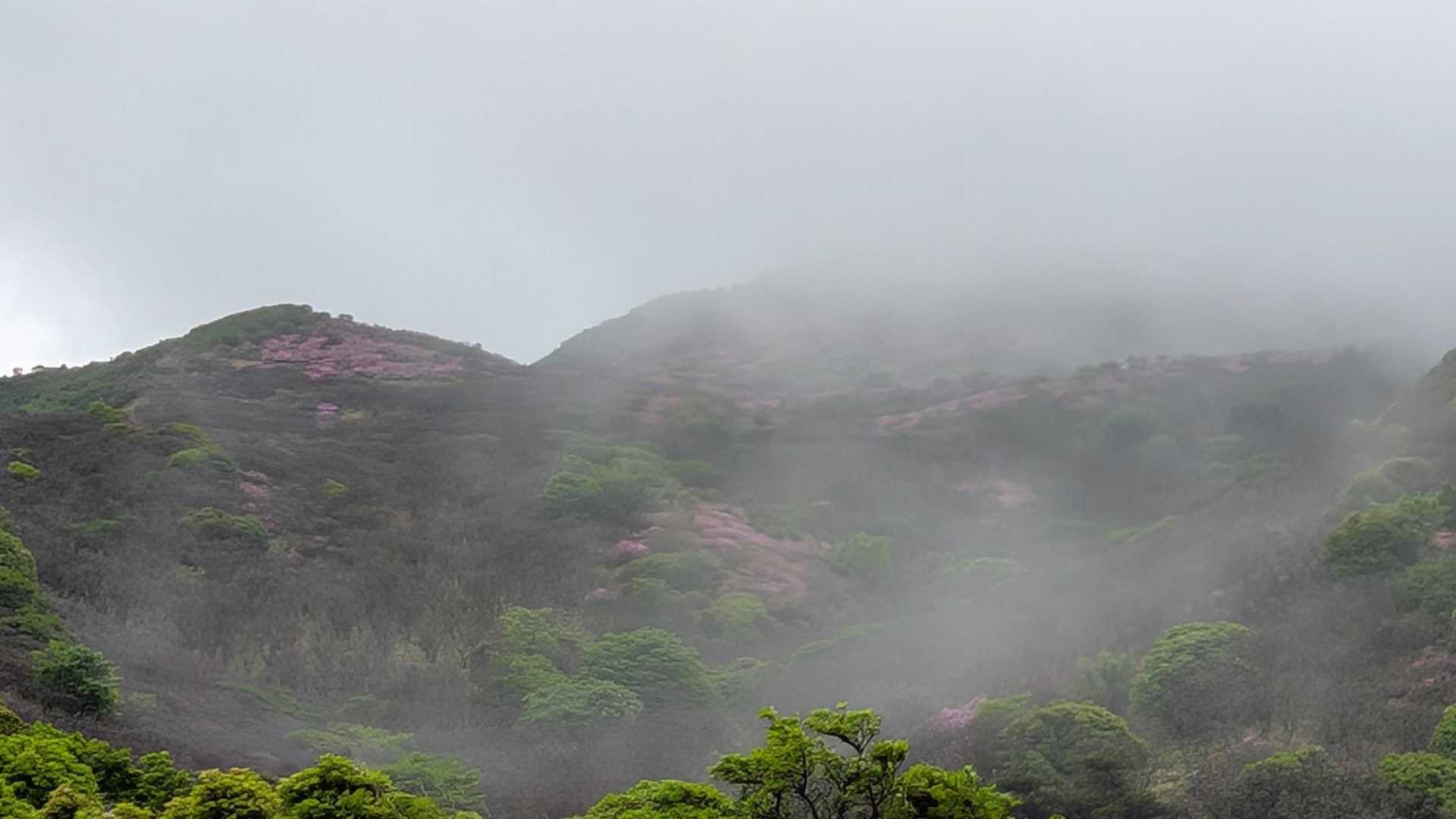 牧ノ戸峠-沓掛山-星生山-扇ヶ鼻 往復コースの写真