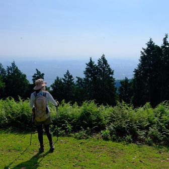 季節によっては、海まで見えるのかなあ？？
おやつ持ってきたんですが、暑いし、アブはいるしなので、早い時間だから、岐阜のモーニング行くことに❗️
