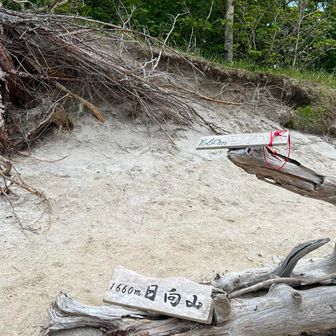 ほら、砂浜、砂浜🏖️