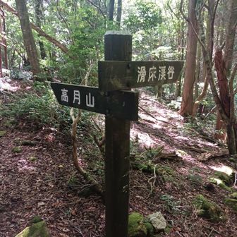 高月山へ向かう