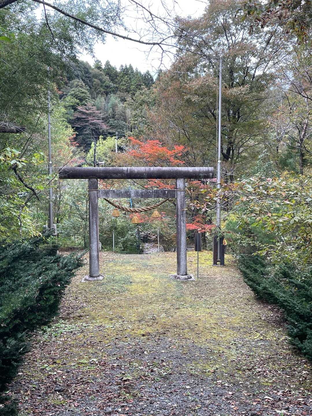 鳥居と紅葉