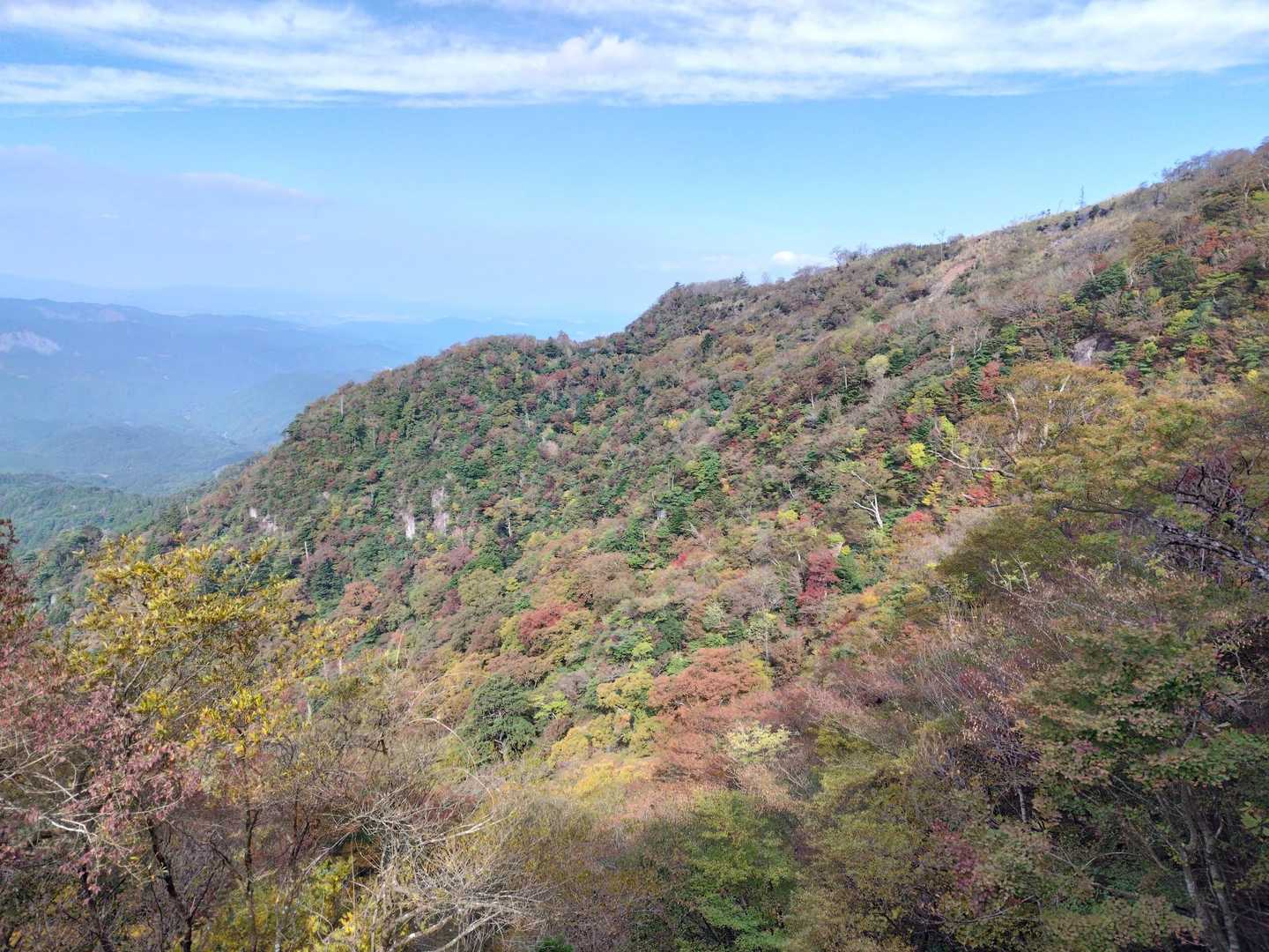 正面登山道の斜面🍁