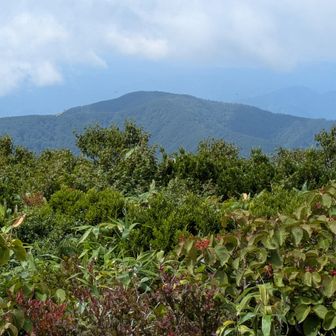法恩寺山