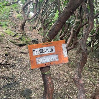 最後の泉水山です✨
戻りが不安でしたが遊歩道がありのんびり戻れました☺️
